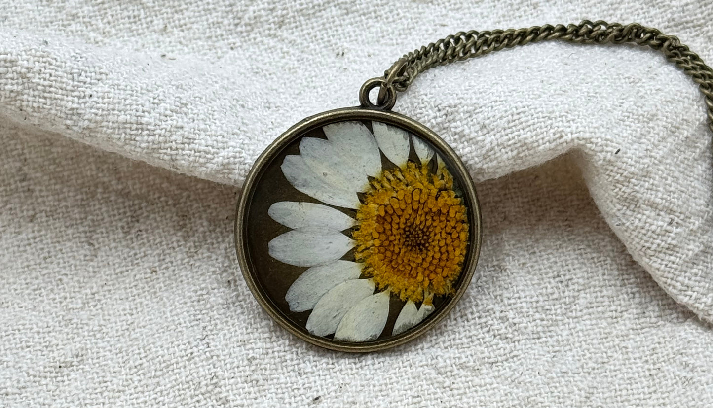 Blume