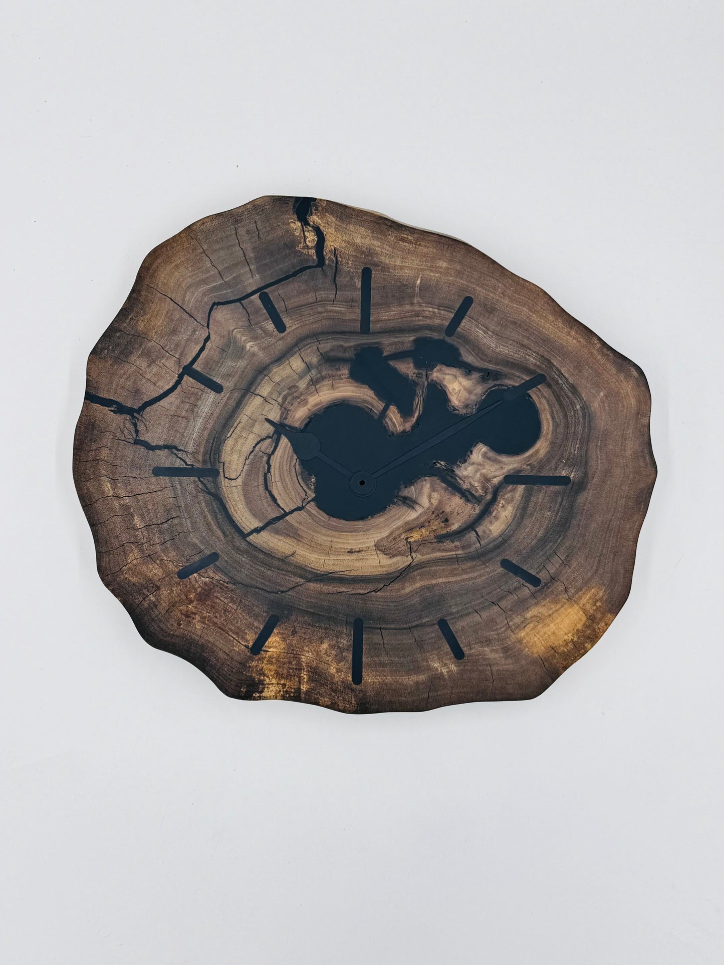 Schwarze Ami-Nuss Baumscheibe