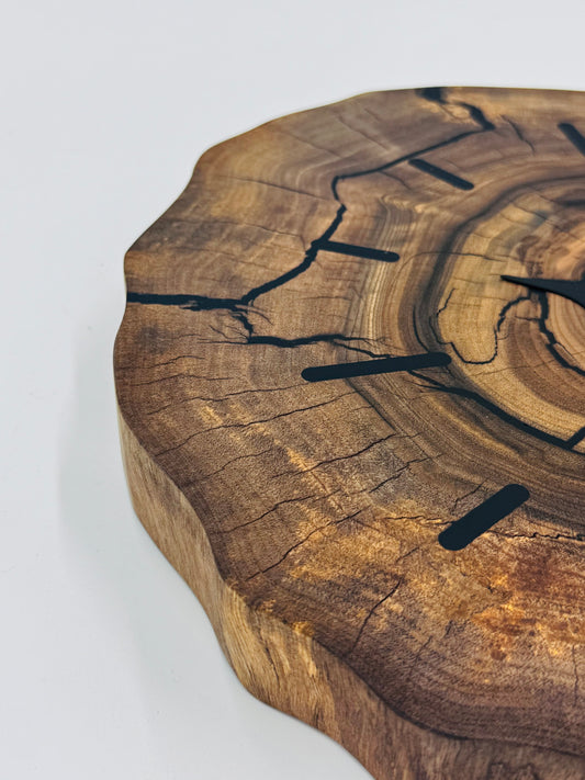 Schwarze Ami-Nuss Baumscheibe