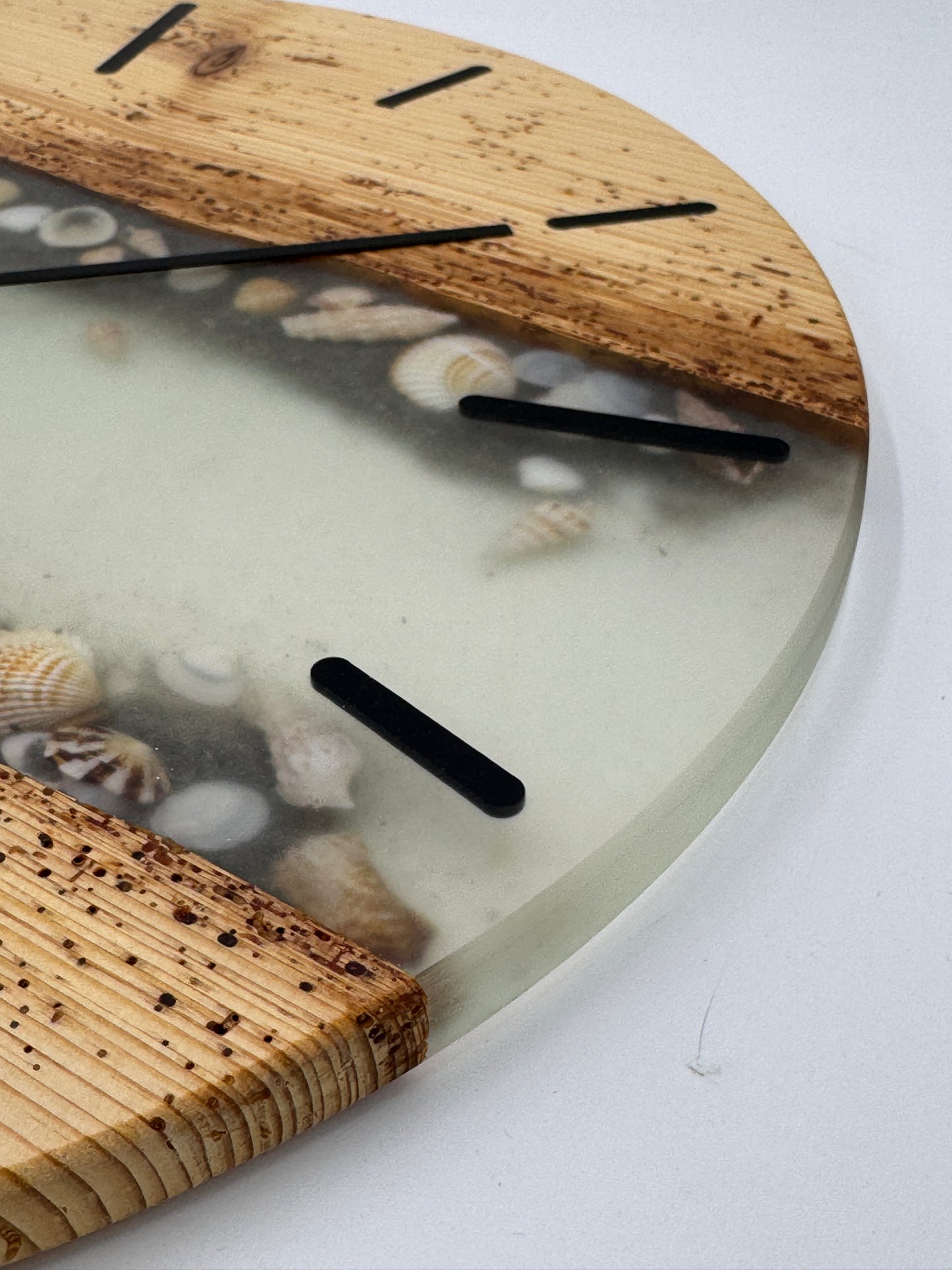 Hellblaue wurmige Fichte mit Muscheln