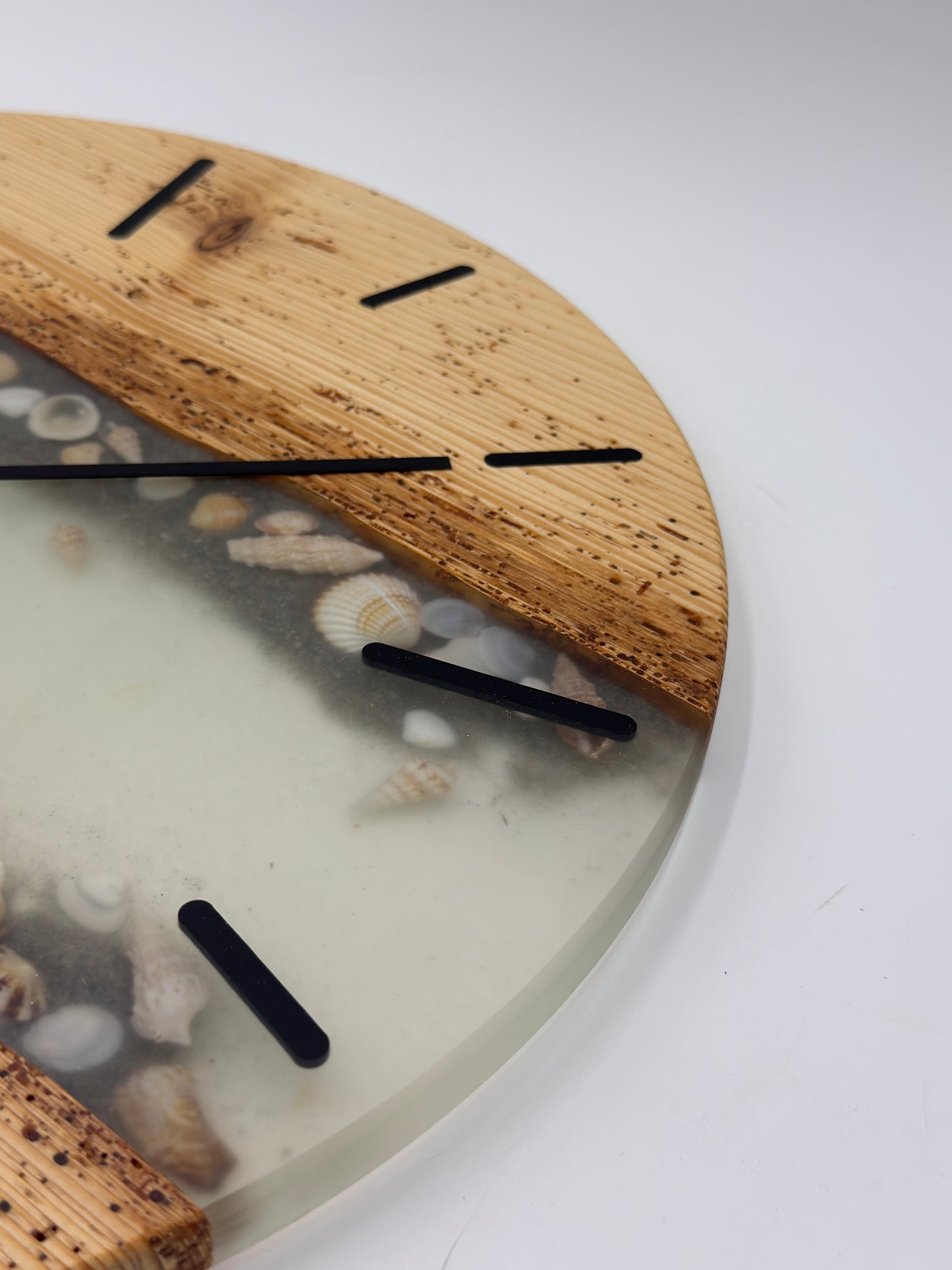 Hellblaue wurmige Fichte mit Muscheln