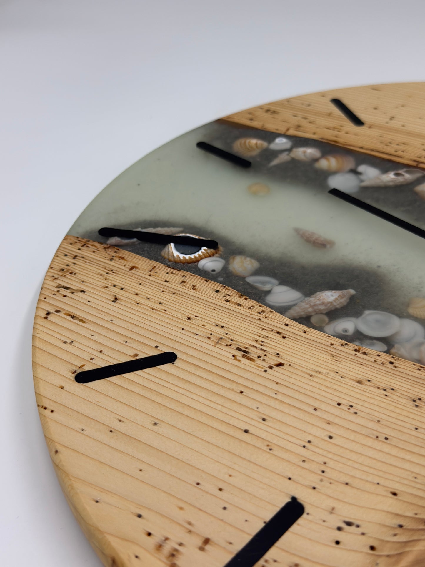 Hellblaue wurmige Fichte mit Muscheln