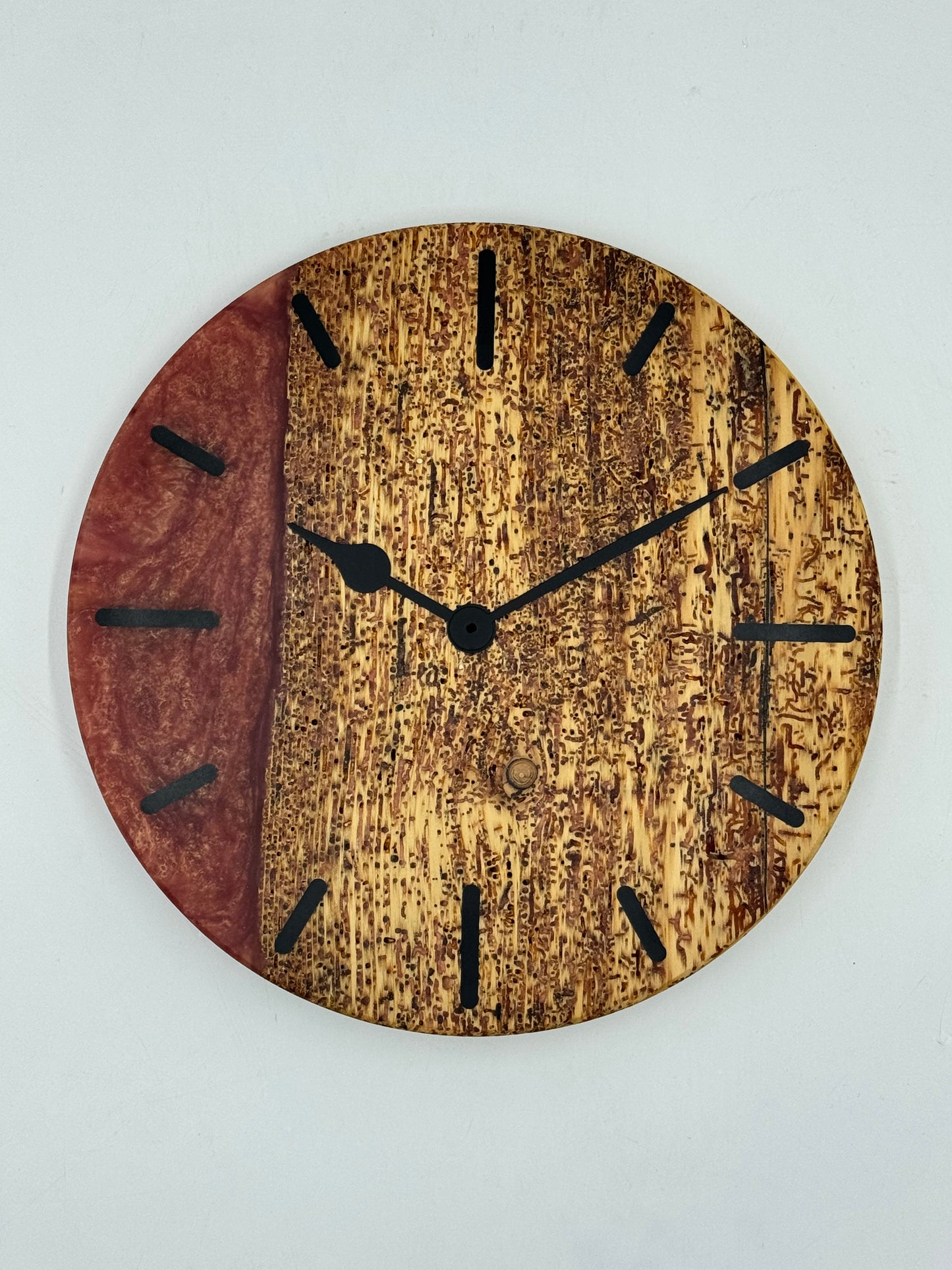 Rose Fichte verwurmt