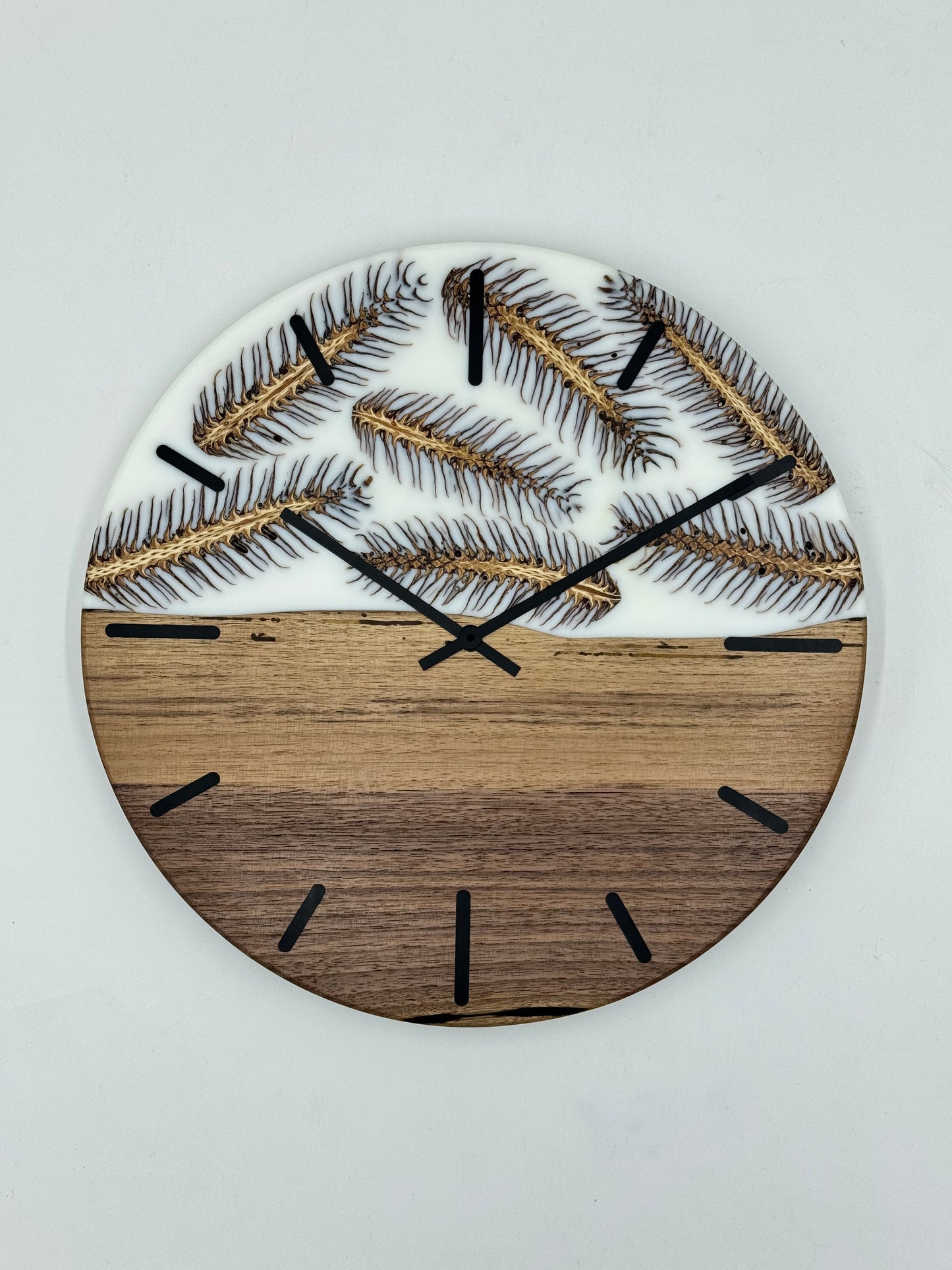 Weiße Ami-Nuss mit Zapfen