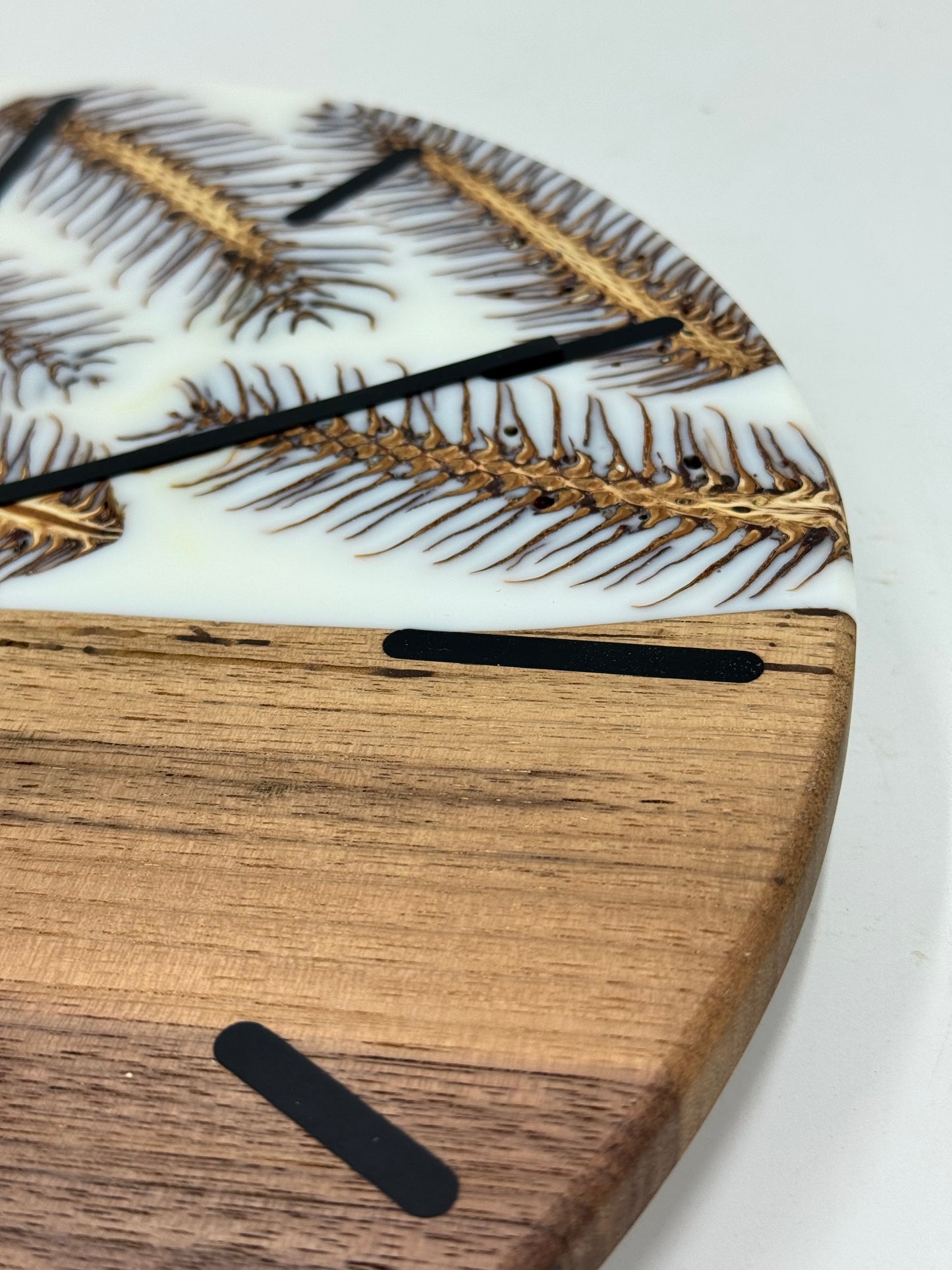 Weiße Ami-Nuss mit Zapfen