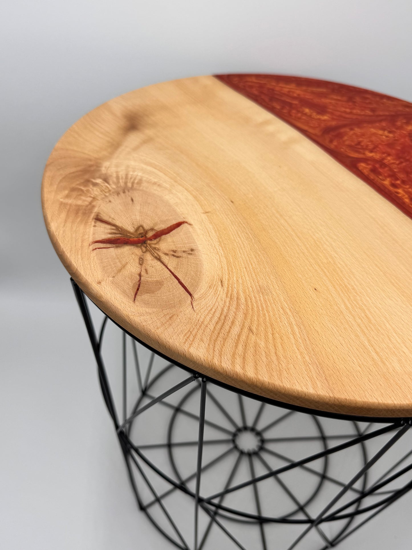 Orange Ulme (Large - 39cm)